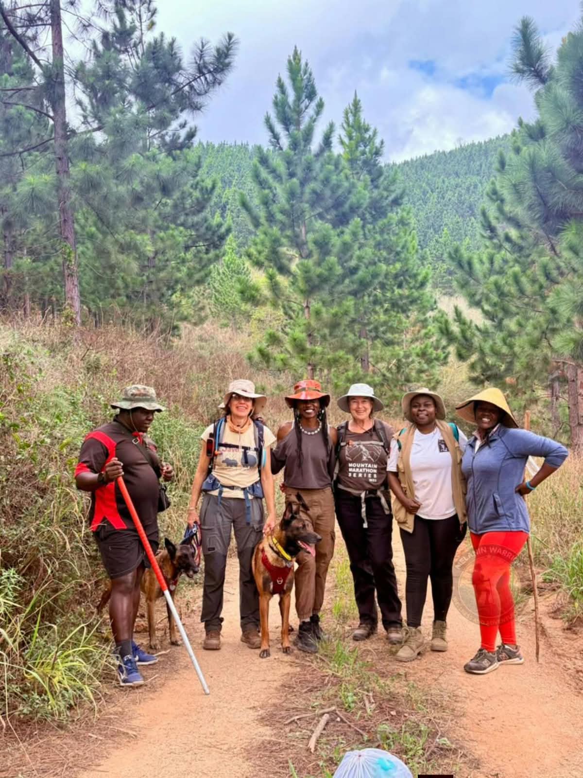 A guided group with dogs on the forested Queens River Trail